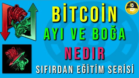 Kripto Boğa ve Ayı Sezonu Nedir, Neler Yapmalıyız? – Giriş Eğitim #16