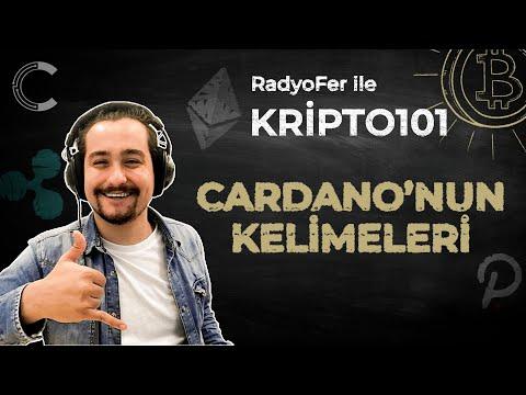 Cardano (ADA) Terimler ve Detaylar Nelerdir? Neden Bu İsimler Kullanılıyor?