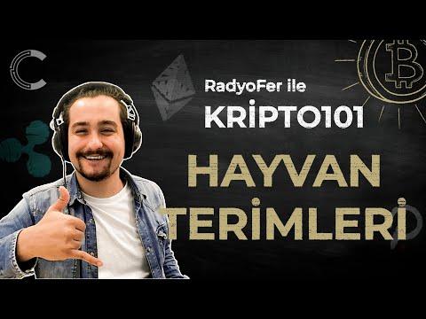 Kripto101: 💥Teknik Analizlerde Hayvan Terimleri 💣| Kripto Para Borsası İçin Ekonomi Terimleri