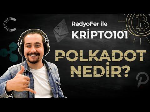 Polkadot ( DOT ) Nedir? | DOT Coin Geleceği?