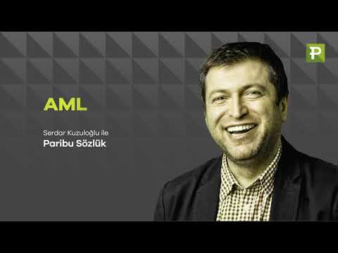 Serdar Kuzuloğlu İle Paribu Sözlük: AML