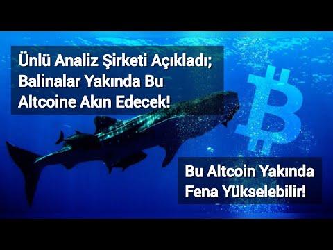 Ünlü Analiz Şirketi Açıkladı; Balinalar Yakında Bu Altcoine Akın Edecek! | Kripto Haber.