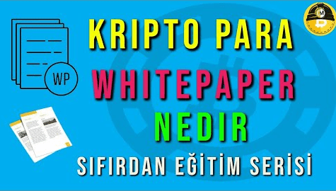 White Paper Nedir – Giriş Eğitim #8