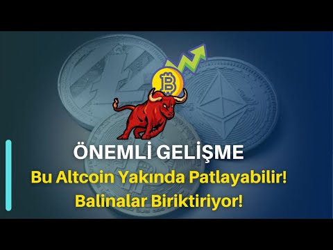 Balinalar Durmaksızın Bu Altcoin’i Biriktiriyor! Sıradaki Hedef Ne?