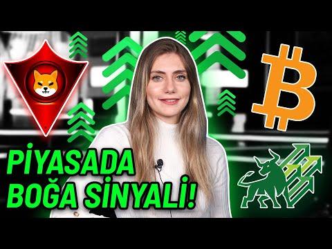 BOĞA SİNYALİ!🚀 BTC 50K’YA TUTUNACAK MI?🐂| MARTTAN BERİ 2.35 MİLYON BTC ALIMI!💸 | SHIBA DOGE SAVAŞI⚔️