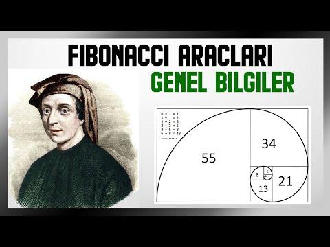 Fibonacci Araçları Genel Bilgiler (Temel Mantığı)