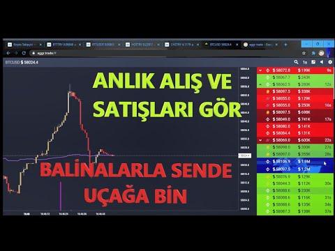 Kripro para anlık alış ve satışları görme balinaların alış satışlarını gör ve kaçırma  ytd.