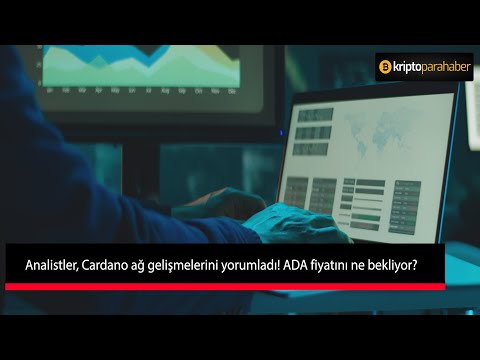 Analistler, CARDANO ağ gelişmelerini yorumladı!