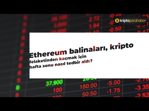 Ethereum Balinaları Felakete Nasıl Bir Tedbir Aldı?