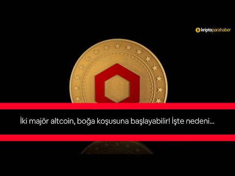 İki majör altcoin, boğa koşusuna başlayabilir! İşte nedeni…